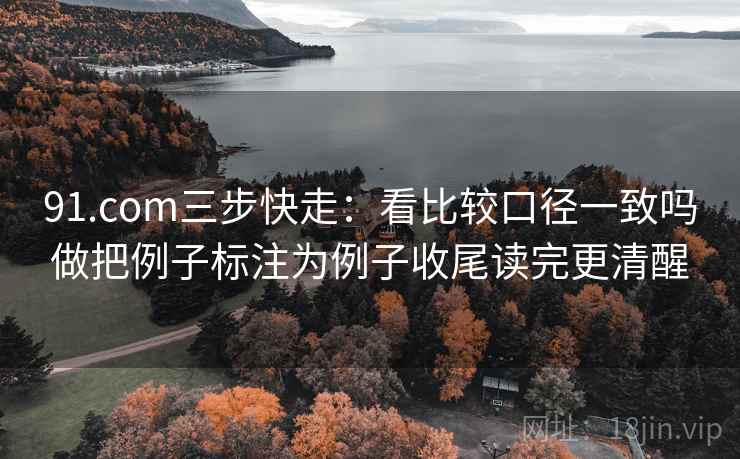91.com三步快走：看比较口径一致吗做把例子标注为例子收尾读完更清醒